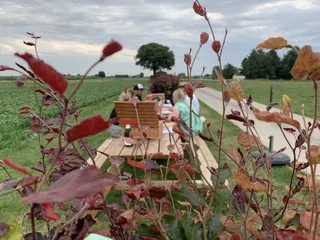 hoevepicknick babb
